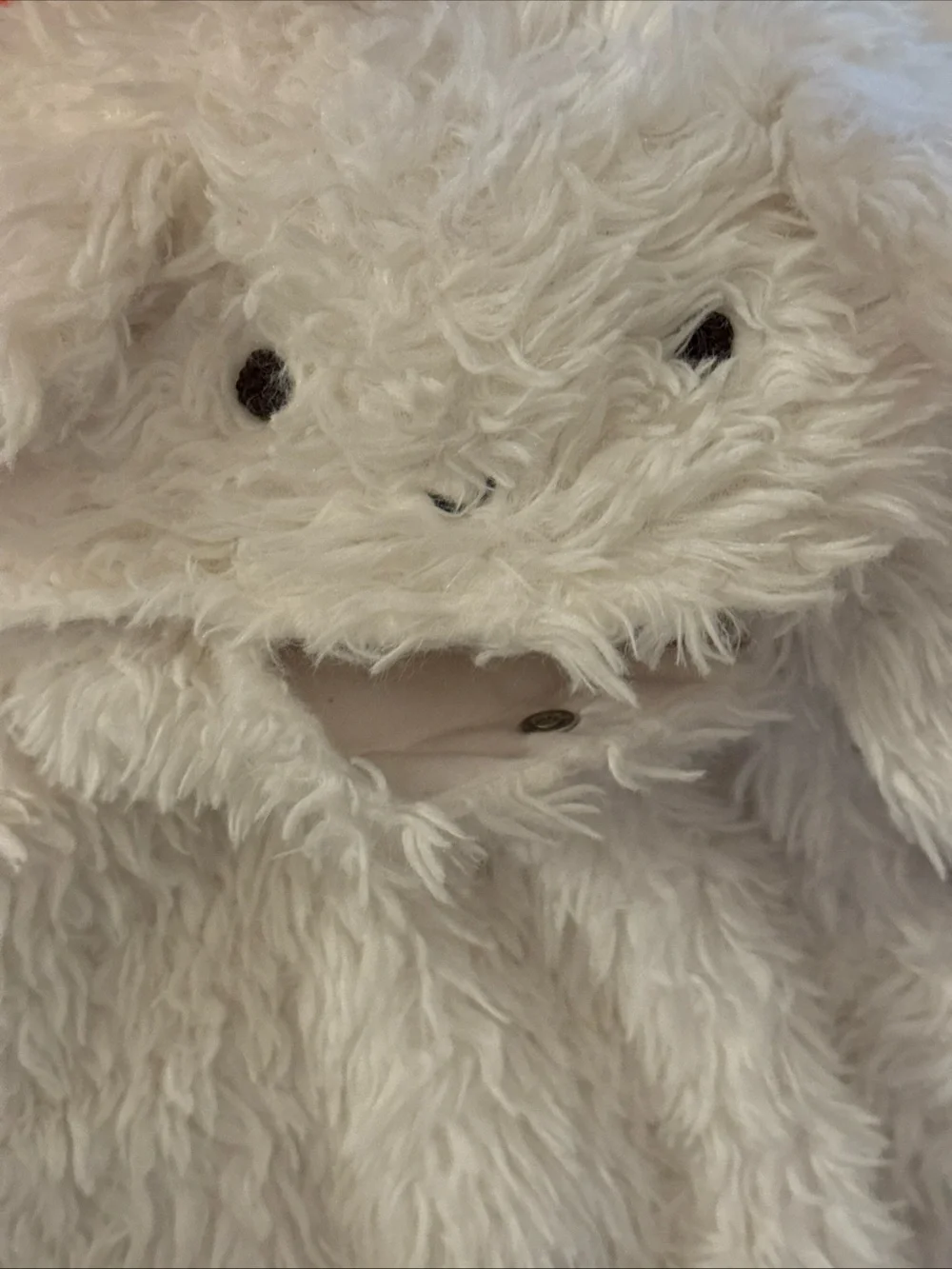 Pottery Barn Kids this adorable